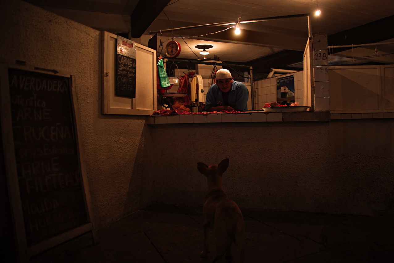 Le chien du boucher